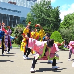 YOSAKOIソーラン祭りの市民審査員に応募してみませんか！？（4月26日締切）