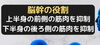 ちょっと違う「原因は筋肉ではない」