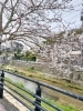 「4月もよろしくお願いします♫」