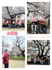 「元寺町の家　花見（和歌山市介護施設）」