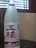 五橋純米春ラベル「五橋」