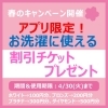 春のチケットプレゼントキャンペーン「🌸春のチケットプレゼントキャンペーン！4/30(火)まで🌸」