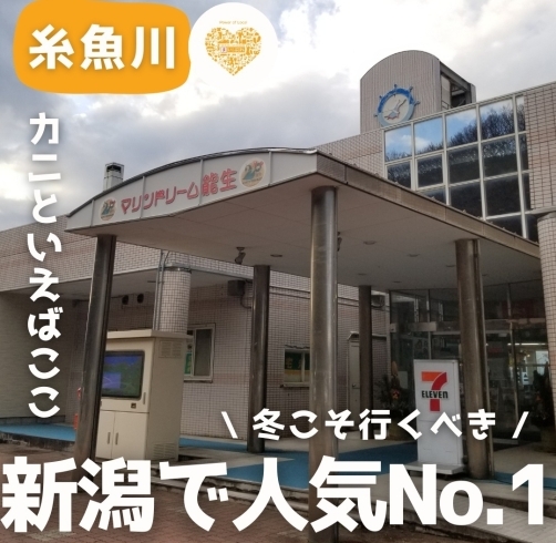 「新潟県人気No.1道の駅は冬もおすすめ！」