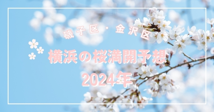 「【2024年 桜満開予想】横浜は4/7（日）か！？」