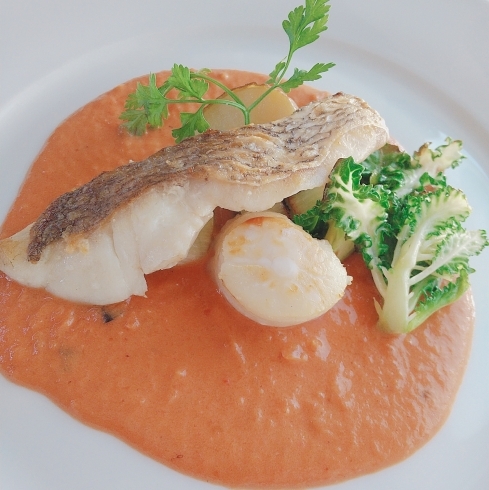 真鯛とホタテのロースト海老風味のトマトクーリー「Colorful JPメイン料理料理」
