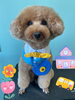 「Dog salon mofu mofu 余市町」