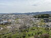 「津山のお花見の穴場？神楽尾公園」