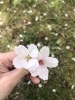 「そのまま伝えてみる⭐️」