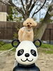 まるくん🐼「ましゅまろ幼稚園🐾」