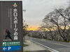 水口スポーツの森「甲賀市　さくら」