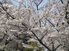 「ご出棺の道のり」