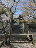 神社入口「津市一志町波瀬神社　桜情報❗️」