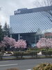 仙台NHK 桜が満開でした。桜の匂いがしました。「相談・下見調査無料 女性相談員在籍(安心です)完全秘密厳守 『平成7年、創業。調査の青葉グループ 茨城-つくば・土浦、群馬-前橋・高崎、埼玉-熊谷・上尾 千葉-松戸・柏 で探偵32年の信頼と実績の若葉探偵社』」
