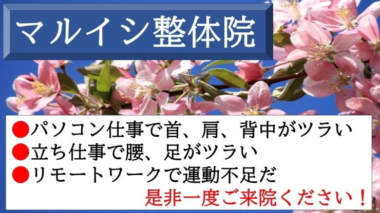 「【初回から効果が実感できます！！】」