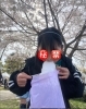 「静岡まつり」