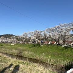 ☆4月の定休日のお知らせ☆