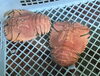 「魚魚市場鮮魚コーナーおすすめは「うちわエビ」です♪」