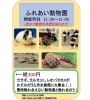 「かすみがうら市水族館より、週末イベントのお知らせ🌸」