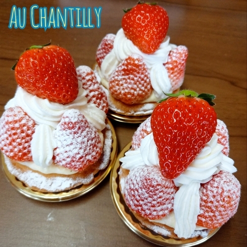 苺のタルト🍓好評発売中☘️ヽ(*´∀`)ﾉ「売り切れ御免✨苺のタルト🍓」