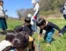 野草摘みに行ってきました🎵【幕張　モンテッソーリの幼児教室　小さなおうち　ラナ・コローレ】