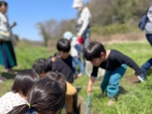 野草摘みに行ってきました🎵【幕張　モンテッソーリの幼児教室　小さなおうち　ラナ・コローレ】