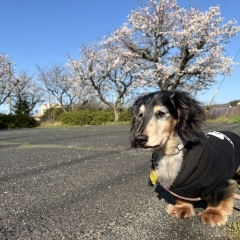 予防の季節になりました