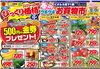 「４月１２日（金）～１３日（土）　チラシ」