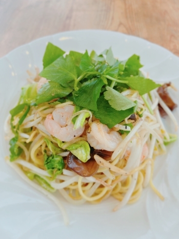 海老とミツバの塩焼きそば「4/12 Today’s Special 海老とミツバの塩焼きそば　日替わり　おすすめ　ランチ　夜ご飯　木更津　中華　金龍」