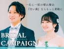 2人で通えばもっとお得💖結婚式に向けて今からホワイトニングを始めませんか？🦷