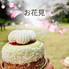 「斐川公園でお花見🌸斐川町　仏壇」