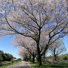 新年度が始まりました！