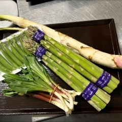 珍しい食材入荷！