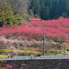 ちょっと一息