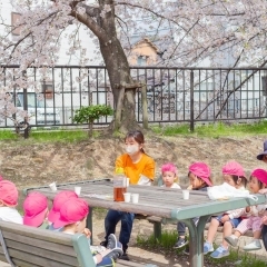 お花見　京都保育園　活動の様子