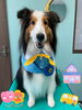 「Dog salon mofu mofu 余市町」