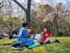 お花見行きたい、と朝からお弁当を作らされた時の写真「《プチこぷれ通信》京都市立の中学校の給食事情について🍱」
