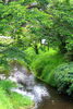 澤「☆時の日和見〜毎日の時の力の使い方〜☆」
