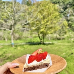 お昼グランピングご予約受付中☀️