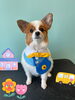 「Dog salon mofu mofu 余市町」