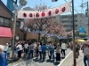 大盛況のチャリティー東立石桜まつり🌸桜も満開🌸沢山の出店で大