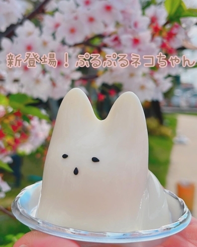 「「ぷるぷるネコちゃん」  ネコ型のミルクプリン 揺らすとぷるぷる♬かわいさ満点💯」