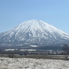 羊蹄山（蝦夷富士）、綺麗でした！！