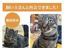 【無事再会！】新居浜市下泉町付近で迷子になった猫のハクくん。飼い主さんと再会できました！