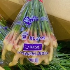 茨城県産　「葉しょうが」の入荷も始まりましたよ～😊