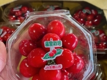 目の保養😍 赤い宝石「さくらんぼ」の入荷も始まっています～🍒 山形県産　さくらんぼ(紅さやか)　🍒