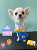「Dog salon mofu mofu 余市町」