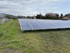 こちらは当社年間管理物件です。「太陽光発電所の除草管理はお任せください」