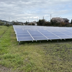 太陽光発電所の除草管理はお任せください