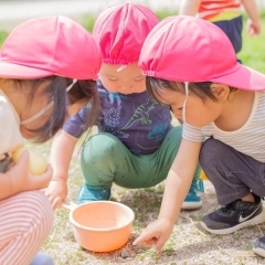 戸外あそび　京都保育園　活動の様子