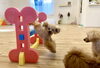 はぴちゃん満面の笑み😁「ましゅまろ幼稚園🐾パート２」